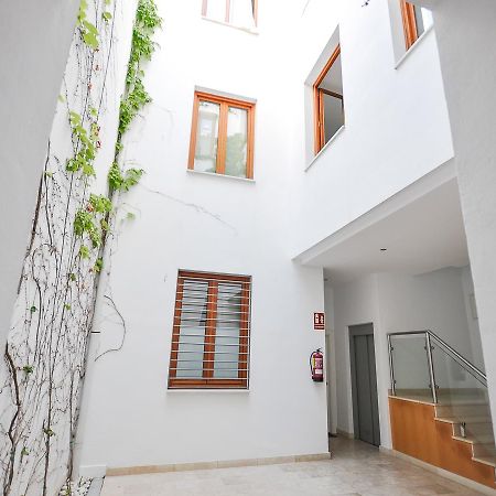 Renthas Vid Loft Daire Málaga Dış mekan fotoğraf